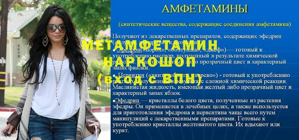 индика Долгопрудный