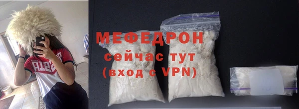 индика Долгопрудный