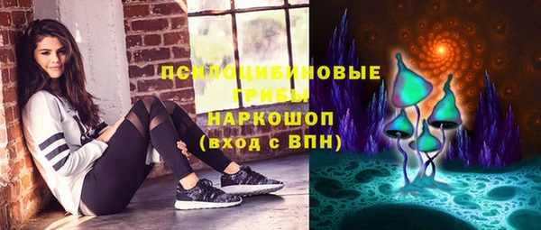 гашик Ладушкин