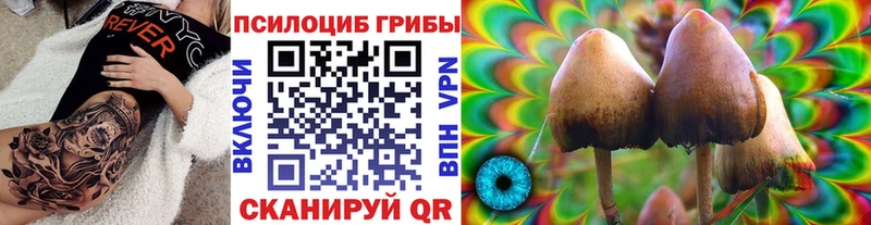 Псилоцибиновые грибы Cubensis  Куртамыш 